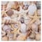 Seashell & Beach Double-Sided Cardstock by Recollections™, 12" x 12"